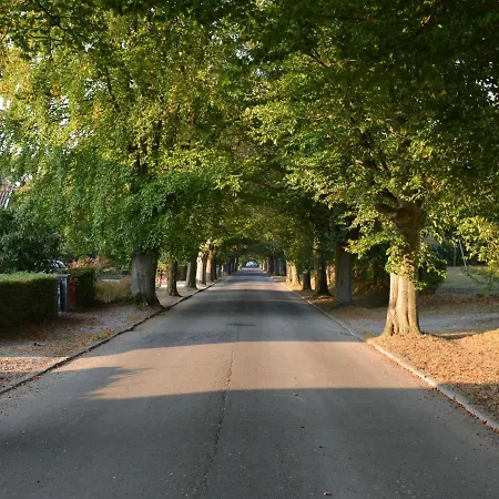 A Perfectly Situated In Between The Town Centre And The Forest *